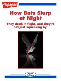 cover of the book How Bats Slurp at Night