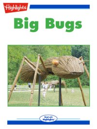 cover of the book Big Bugs