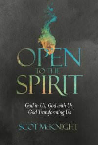 cover of the book Open to the Spirit: God in Us, God with Us, God Transforming Us