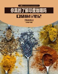 cover of the book 你真的了解印度咖喱吗 (World Heritage Geography Travels: About Indian Curry)