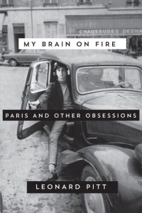 cover of the book My Brain on Fire: Paris and Other Obsessions