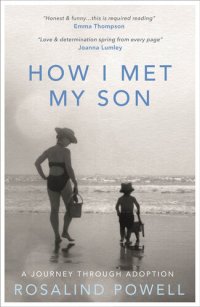 cover of the book How I Met My Son: A Journey Through Adoption