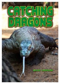 cover of the book Catching Dragons