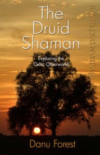 cover of the book The Druid Shaman: Exploring the Celtic Otherworld; Shaman Pathways