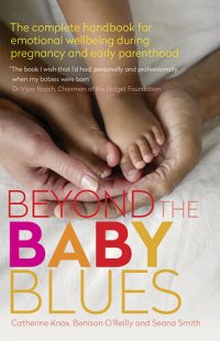 cover of the book Beyond the Baby Blues: The Complete Handbook for Emotional Wellbeing During Early Parenthood