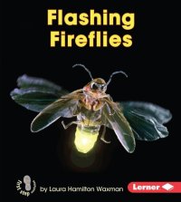 cover of the book Flashing Fireflies: Backyard Critters