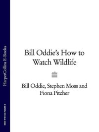 cover of the book Bill Oddie's How to Watch Wildlife