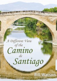 cover of the book A different view of the Camino de Santiago