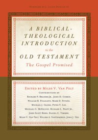 cover of the book A Biblical-Theological Introduction to the Old Testament: The Gospel Promised