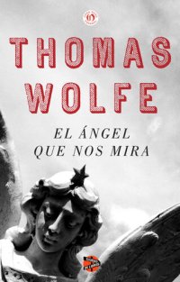 cover of the book ángel que nos mira