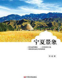 cover of the book 宁夏景象