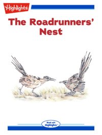 cover of the book The Roadrunners' Nest