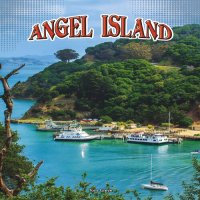 cover of the book Angel Island