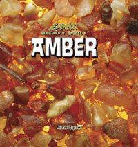 cover of the book Amber