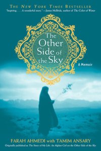 cover of the book The Other Side of the Sky