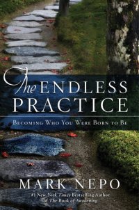 cover of the book The Endless Practice: Becoming Who You Were Born to Be