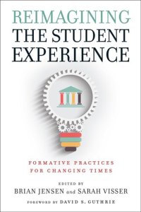 cover of the book Reimagining the Student Experience: Formative Practices for Changing Times