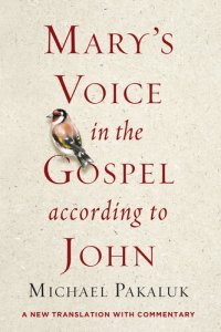 cover of the book Mary's Voice in the Gospel According to John: A New Translation with Commentary