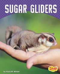 cover of the book Sugar Gliders