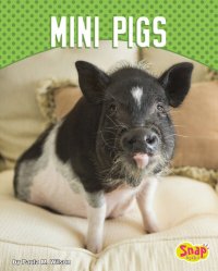 cover of the book Mini Pigs