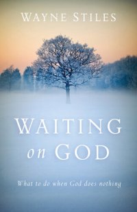 cover of the book Waiting on God: What to Do When God Does Nothing