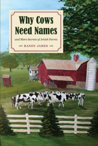 cover of the book Why Cows Need Names: And More Secrets of Amish Farms