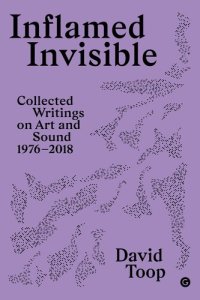 cover of the book Inflamed Invisible: Collected Writings on Art and Sound, 1976-2018