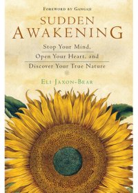 cover of the book Sudden Awakening: Stop Your Mind, Open Your Heart, and Discover Your True Nature