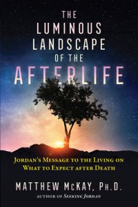 cover of the book The Luminous Landscape of the Afterlife: Jordan's Message to the Living on What to Expect after Death