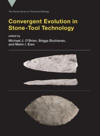 cover of the book Convergent Evolution in Stone-Tool Technology