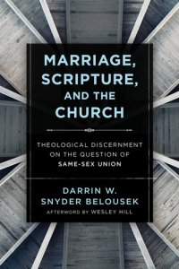 cover of the book Marriage, Scripture, and the Church: Theological Discernment on the Question of Same-Sex Union