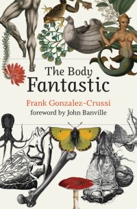 cover of the book The Body Fantastic