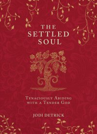 cover of the book The Settled Soul: Tenaciously Abiding with a Tender God