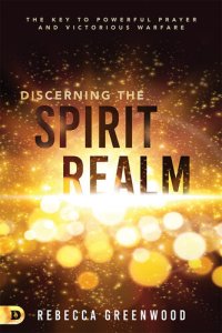 cover of the book Discerning the Spirit Realm: The Key to Powerful Prayer and Victorious Warfare