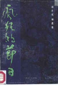 cover of the book 疯狂的节日