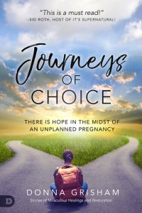 cover of the book Journeys of Choice: There is Hope in the Midst of an Unplanned Pregnancy