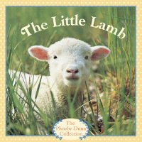 cover of the book The Little Lamb