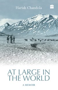 cover of the book At Large in the World