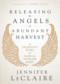 cover of the book Releasing the Angels of Abundant Harvest: A Prophetic Word for Radical Increase in 2017