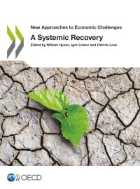 cover of the book A Systemic Recovery