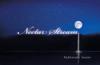 cover of the book Nectar Stream