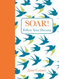 cover of the book Soar!: Follow Your Dreams