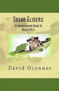 cover of the book Sugar Gliders