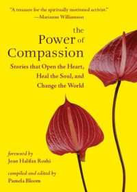 cover of the book The Power of Compassion: Stories That Open the Heart, Heal the Soul, and Change the World