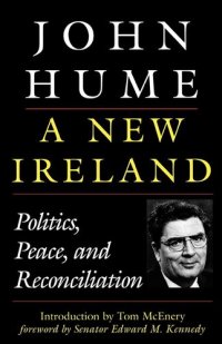 cover of the book A New Ireland: Politics, Peace, and Reconciliation