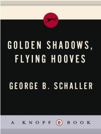 cover of the book Golden Shadows