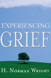 cover of the book Experiencing Grief