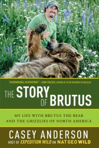 cover of the book The Story of Brutus