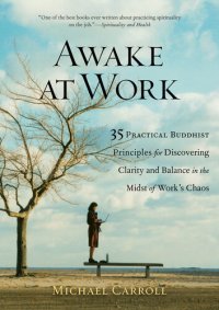 cover of the book Awake at Work: 35 Practical Buddhist Principles for Discovering Clarity and Balance in the Mids t of Work's Chaos