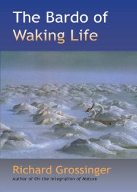 cover of the book The Bardo of Waking Life